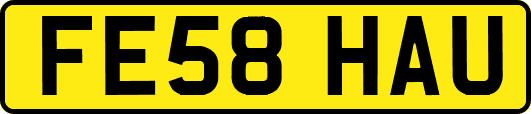 FE58HAU
