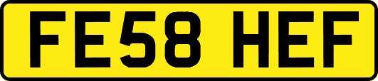 FE58HEF