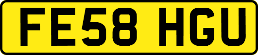 FE58HGU