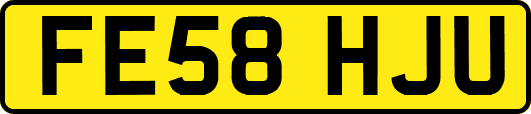 FE58HJU