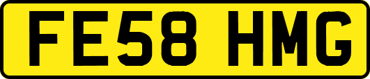 FE58HMG