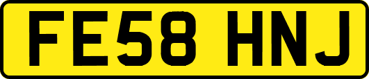 FE58HNJ