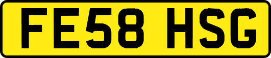 FE58HSG