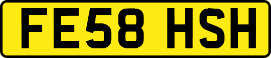 FE58HSH