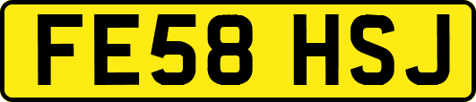 FE58HSJ