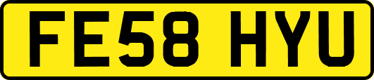 FE58HYU