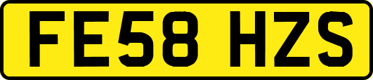 FE58HZS