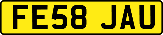 FE58JAU