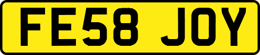 FE58JOY