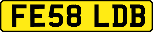 FE58LDB