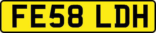 FE58LDH