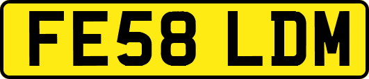 FE58LDM