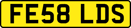 FE58LDS