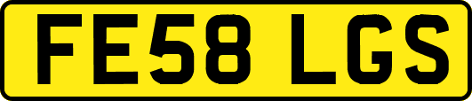 FE58LGS