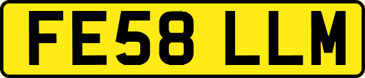 FE58LLM