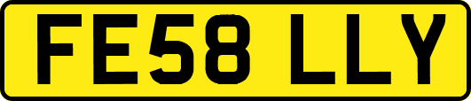 FE58LLY