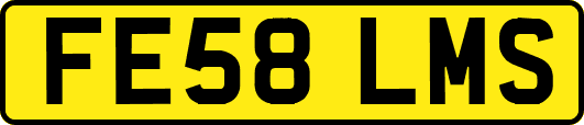 FE58LMS