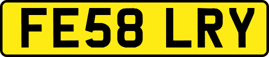 FE58LRY
