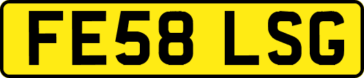 FE58LSG