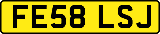 FE58LSJ