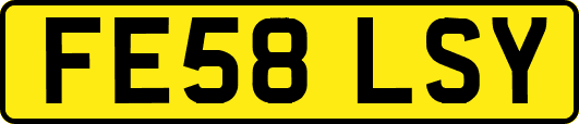 FE58LSY