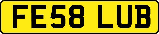 FE58LUB