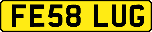 FE58LUG
