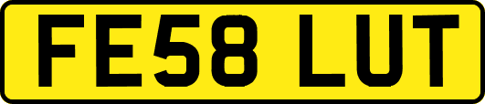 FE58LUT
