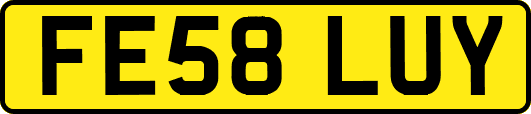 FE58LUY