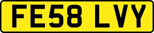 FE58LVY