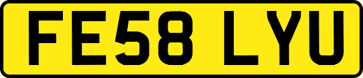 FE58LYU