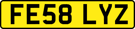 FE58LYZ