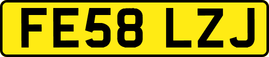 FE58LZJ