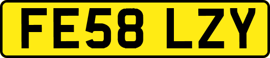 FE58LZY