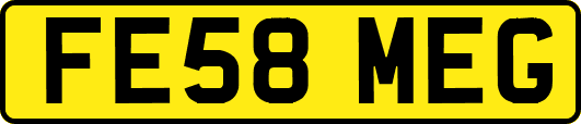 FE58MEG