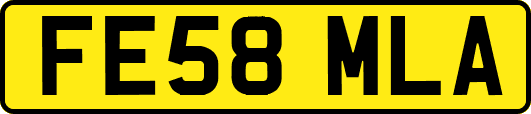 FE58MLA