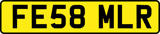 FE58MLR