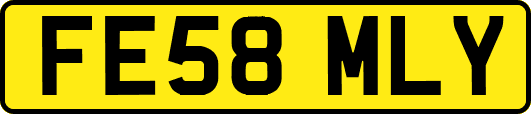 FE58MLY