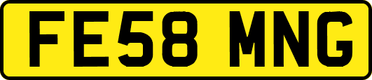 FE58MNG