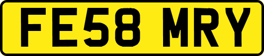 FE58MRY