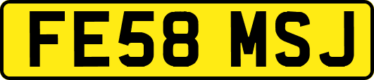 FE58MSJ