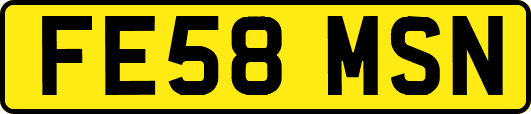 FE58MSN