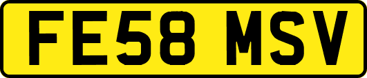 FE58MSV