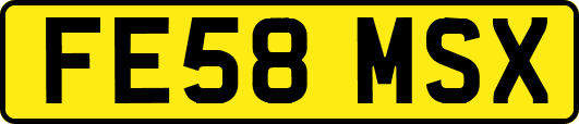 FE58MSX