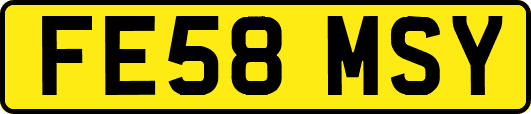 FE58MSY