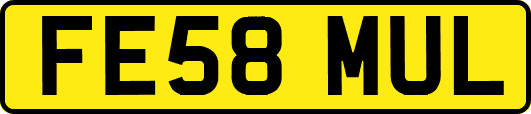 FE58MUL