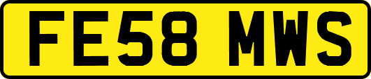 FE58MWS