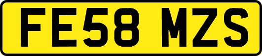 FE58MZS