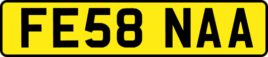 FE58NAA