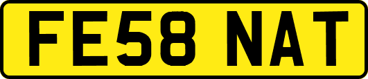 FE58NAT